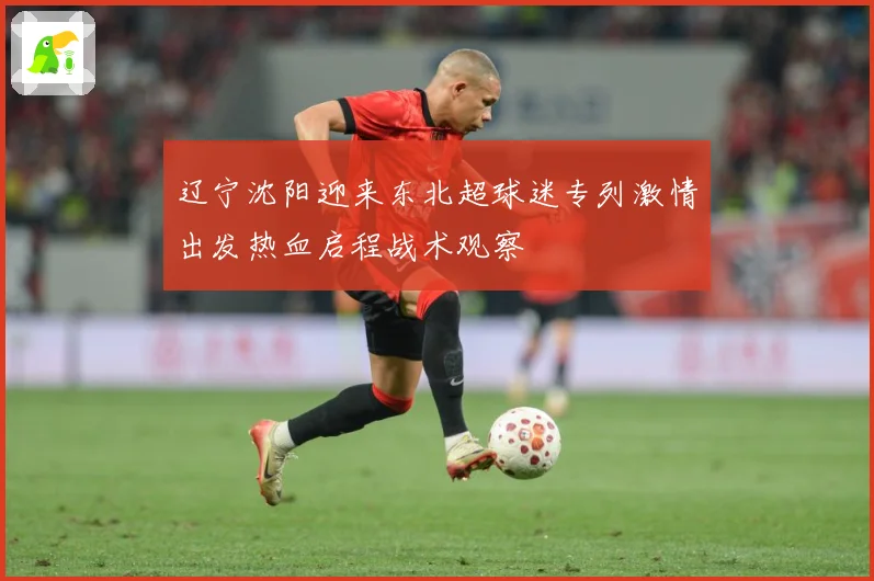 辽宁沈阳迎来东北超球迷专列激情出发热血启程战术观察