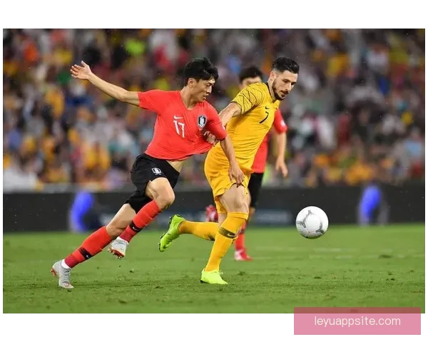 世界杯赛事全解析与投注技巧指南助你精准掌握胜负走势