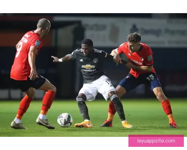 世界杯胜负竞猜分析策略与数据解读助你精准预测赛事结果